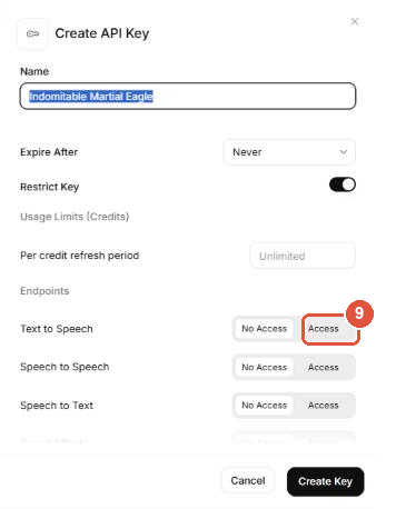 Phần trên hộp Create API Key: ô Name, công tắc Restrict Key, số 9 là dòng Text to Speech